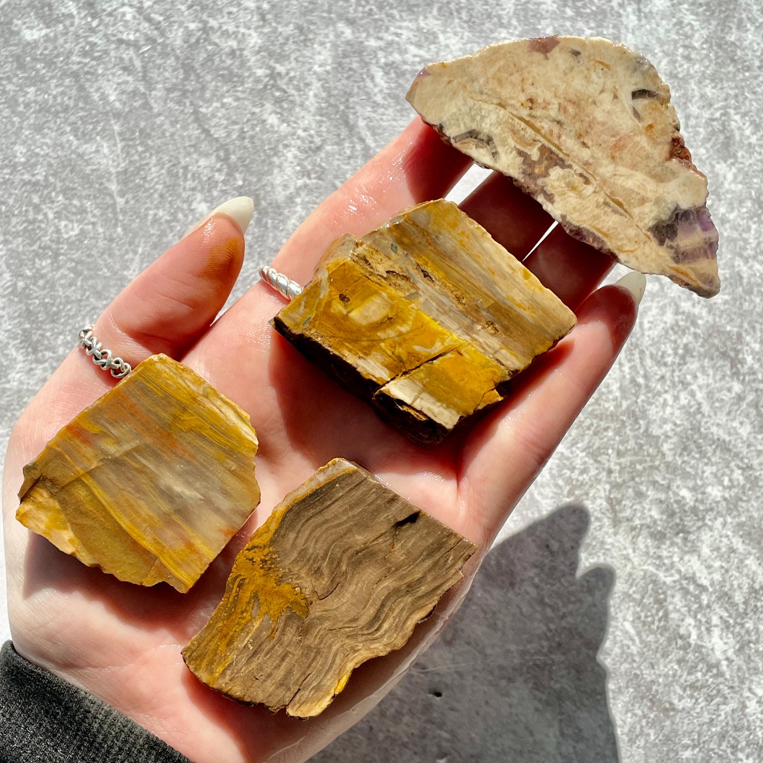 Rough - Slab - Petrified Wood - 1KG Rough - Slab - Petrified Wood - 1KG